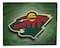 Minnesota Wild 16" x 20" Canvas Logo 20" x 16"